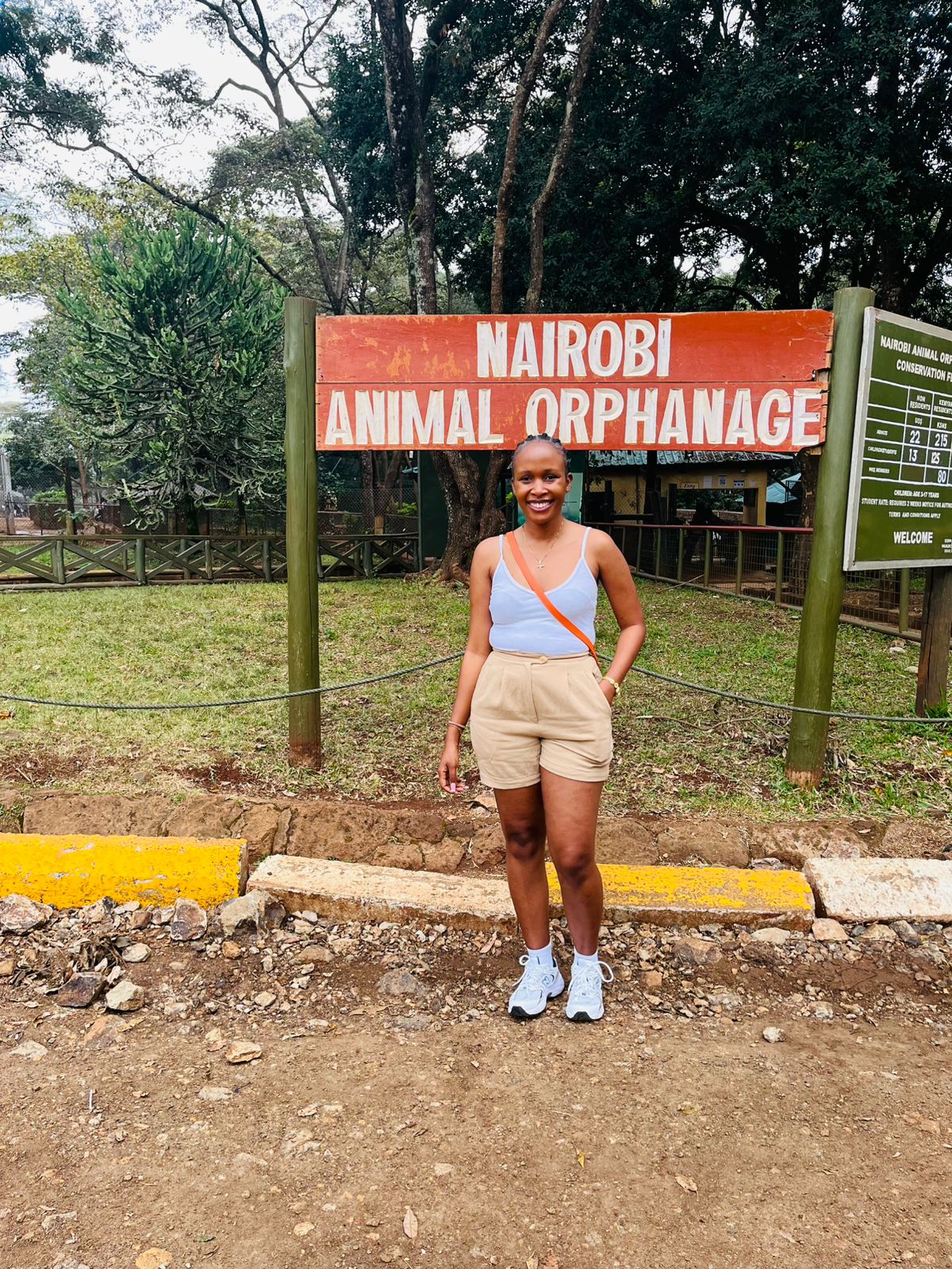 Wildlife sighting - joy2